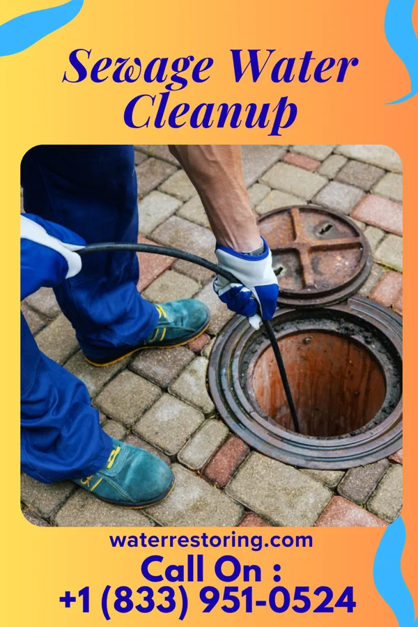 Sewage Water Cleanup in St. Joseph, LA